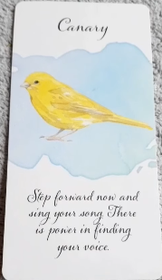 Divine Feather Messenger